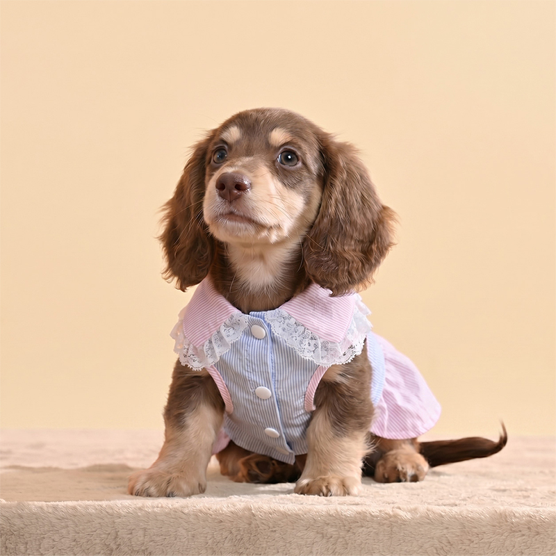 Платье для собаки Sweet Bow Princess