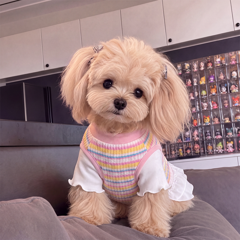 Платье принцессы из тюля Pet Rainbow