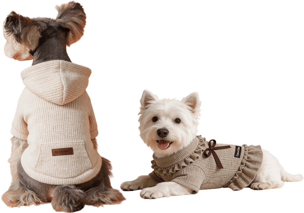 Taizhou Feile Pet Products Co., Ltd.